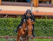 Datti Queen Heart GioCav2013 S5 4052 : Campionati Italiani Giovani Cavalli, Cattolica, Datti Nicola, Queen Heart, ph Stefano Secchi ©